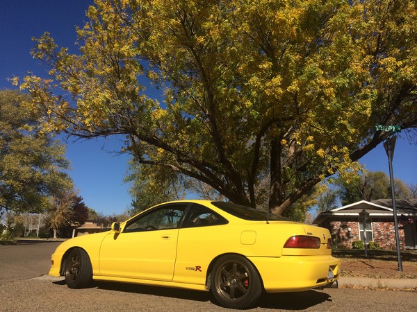 Phoenix Yellow ITR with no spoiler