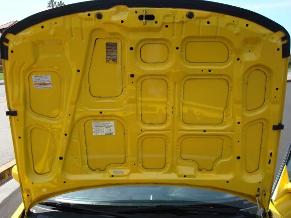 Phoenix Yellow 2000 Acura ITR hood