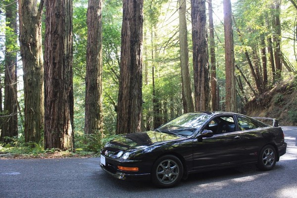 Bone stock 2001 nbp ITR redwoods