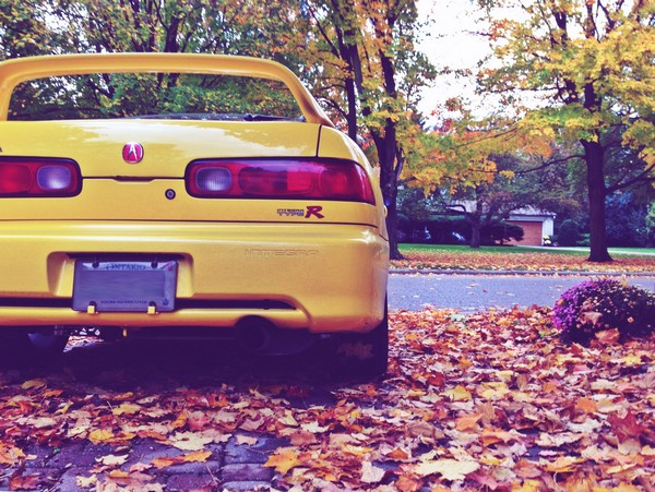 2001 Phoenix Yellow Integra type-R Back/Rear